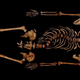 Illustration for article titled Well, That Was Cool, Say Archaeologists Before Dumping Bones Of King Richard III Back Into Hole